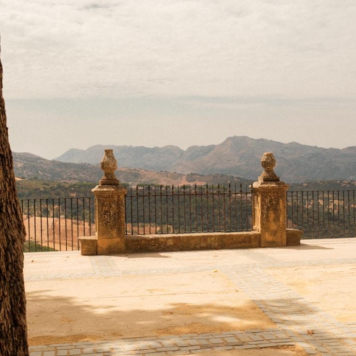 Family terraces and cafés for calm evenings in Amsterdam